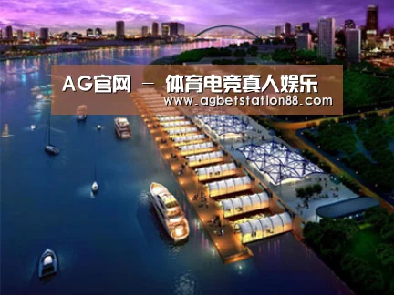 案例展示八(图1)