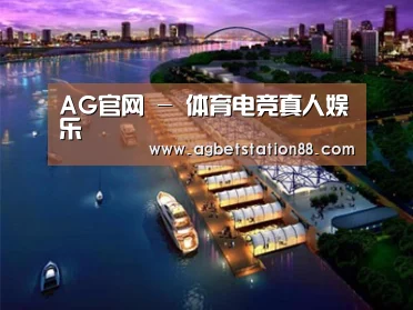 案例展示八