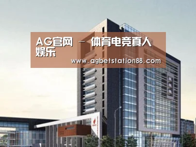案例展示七