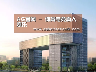 案例展示四