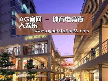 案例展示一