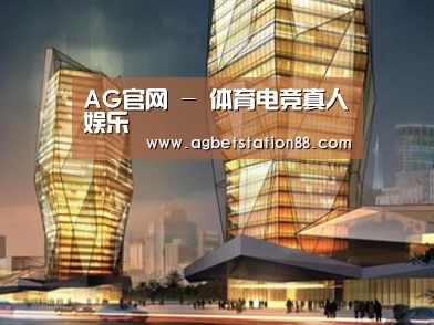 案例展示三