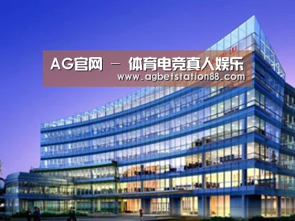 案例展示五