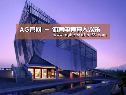 案例展示六