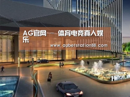 案例展示二