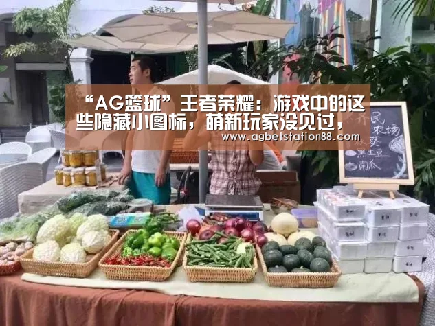 AG百家乐