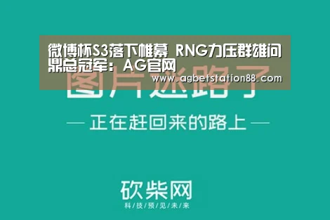 微博杯S3落下帷幕 RNG力压群雄问鼎总冠军:AG官网(图1) AG官网