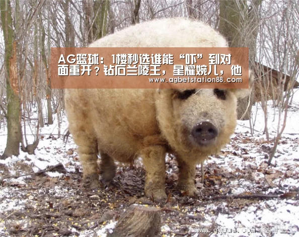AG篮球:1楼秒选谁能“吓”到对面重开?钻石兰陵王,星耀婉儿,他王者野王代练专属(图2) AG篮球