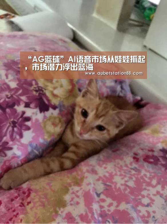 AG棋牌