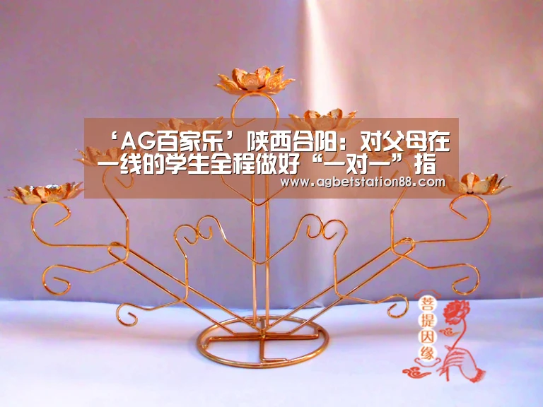 ‘AG百家乐’陕西合阳:对父母在一线的学生全程做好“一对一”指导(图1) AG官网