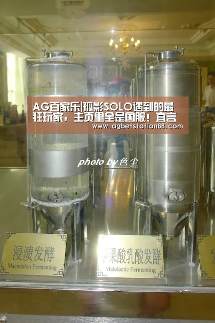AG百家乐|孤影SOLO遇到的最狂玩家,主页里全是国服!直言你挑一个,弹幕炸了(图3) AG百家乐