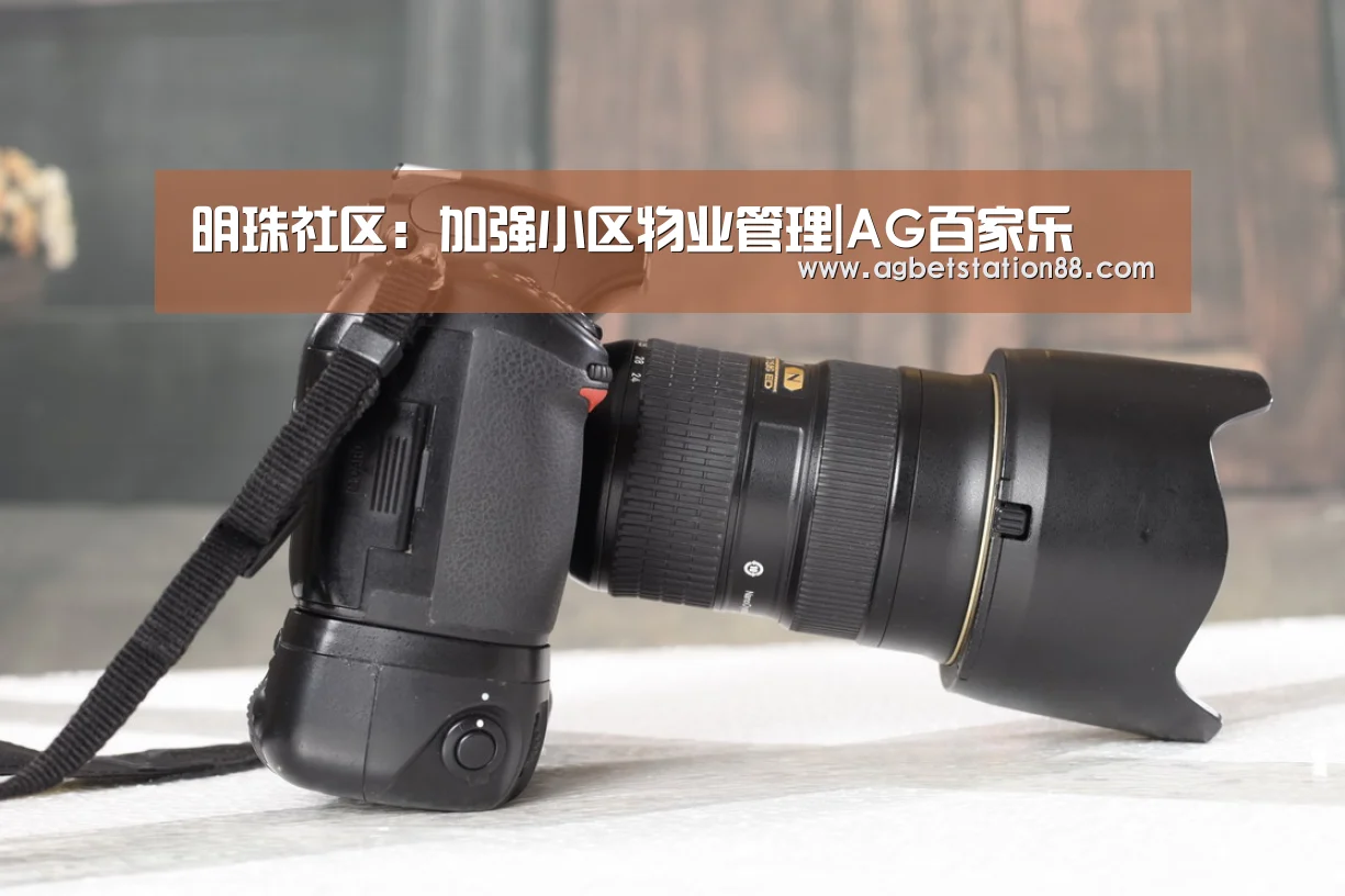 AG百家乐